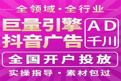 竞价托管与SEO结合的案例分析